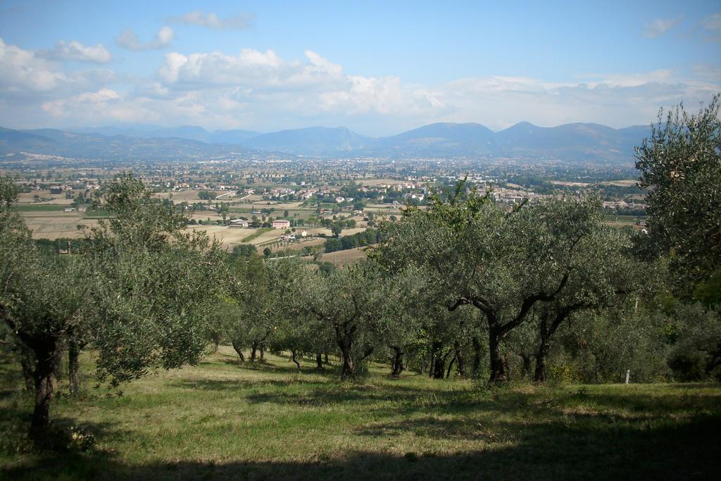 B&B Il Grotto Bevagna Exteriör bild