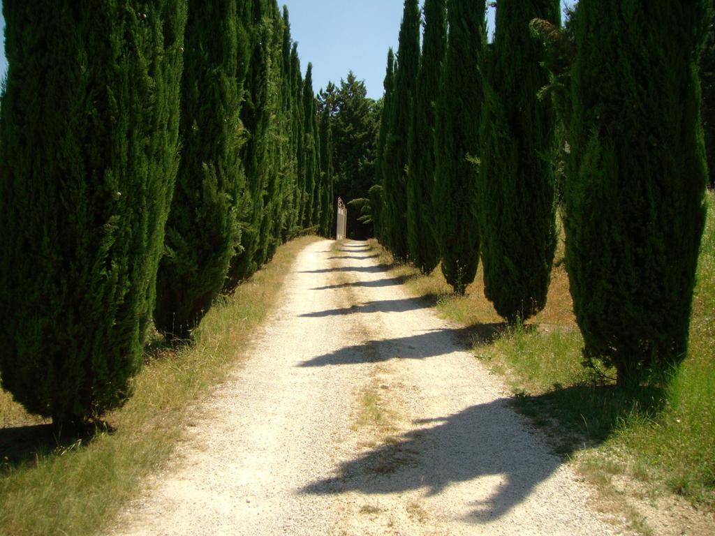 B&B Il Grotto Bevagna Exteriör bild