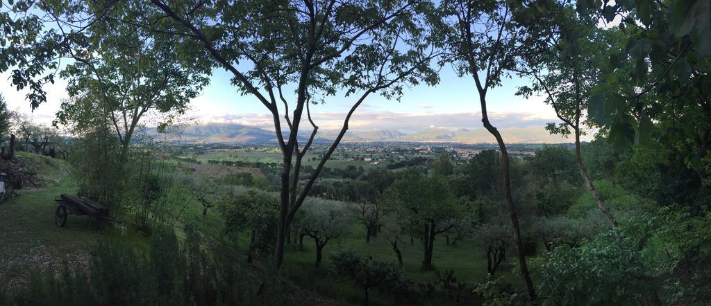 B&B Il Grotto Bevagna Exteriör bild