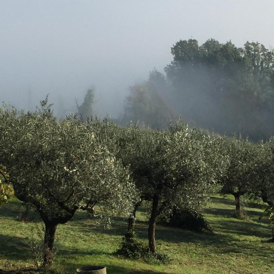 B&B Il Grotto Bevagna Exteriör bild